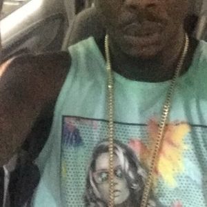 Meet your Posher, Vertmuzik